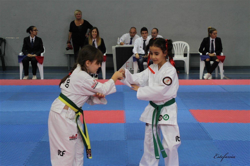Copa Seul 2018 (405).jpg